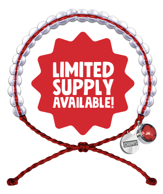 4Ocean and Chomps bracelet, limited supply availability 